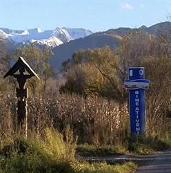 Afine Zmeură Făgăraş