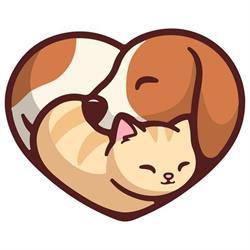 CleanVet