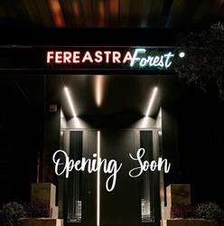 Fereastra Forest