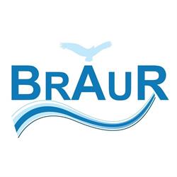 SC BRAUR SRL