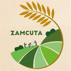 Zamcuta - Furaje si pui de o zi, Suceava