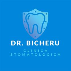 Clinica Dr. Bicheru