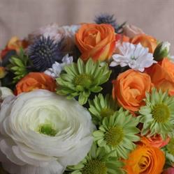 Amazing Flowers