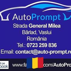 Auto Prompt