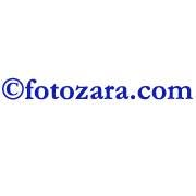 Ciprian Dumitru Fotozara