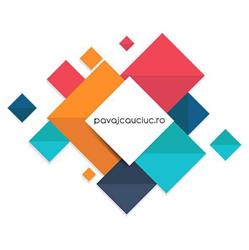PAVIS