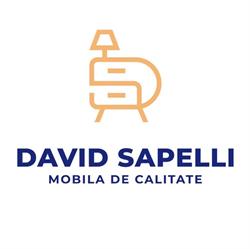 David Sapelli