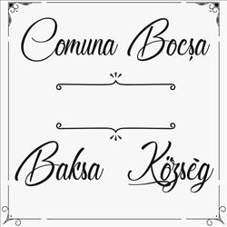 Primăria Bocşa Sălaj
