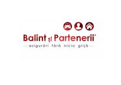 Balint si Partenerii