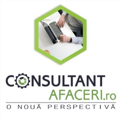 consultant afaceri