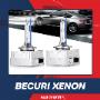 Becuri Xenon