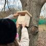 Proiect international- Scoli prietenoase cu natura