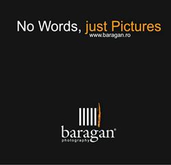 Studio Baragan