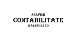 AN CONTA 41 SRL