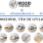 WOODPROCESS SYSTEMS SRL