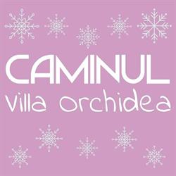 Caminul Villa Orchidea