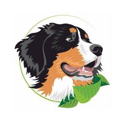 Cabinet Veterinar BetoVet Sacele