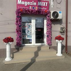 Magazin MIXT Italia