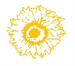 SOLENZARA GROUP