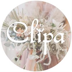 Clipa