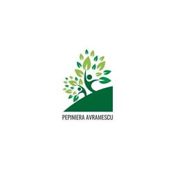 Pepiniera Avramescu