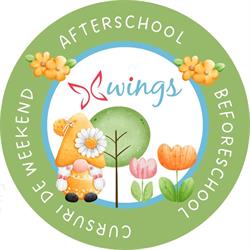 Afterschool Wings