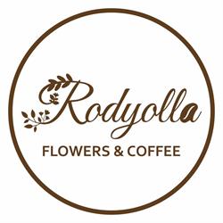 Rodyolla