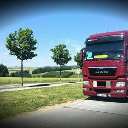 Mose Transport - European Transporter