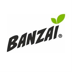 Banzai Romania