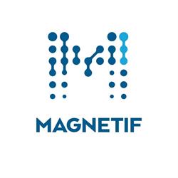 Magnetif - Agentie SEO & PPC