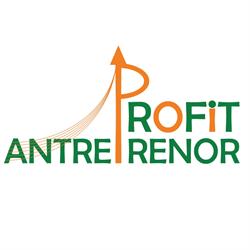 Profit Antreprenor