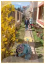 Primăvara în curtea noastră