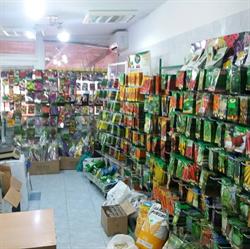 Fitofarmacia Alan Protect Plant