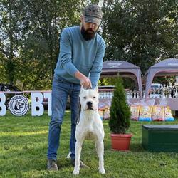 Barbosul Ger - Dogo Argentino Kennel