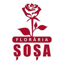 Floraria Sosa