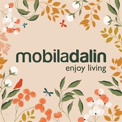 MobilaDalin Iaşi