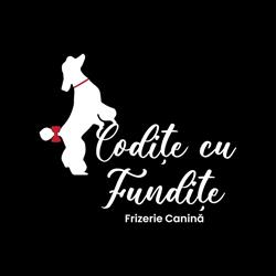 Frizerie Canină - Codiţe cu fundiţe