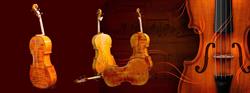 Special Violins
