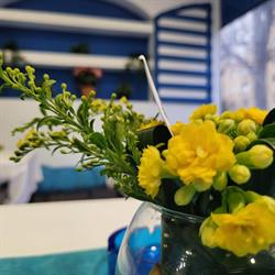 Mediterannia By Hades