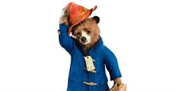Pensiunea Ursuleţul Paddington