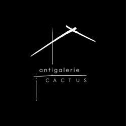 Antigalerie Cactus