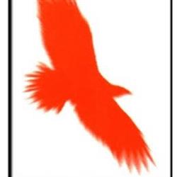 Eagle House