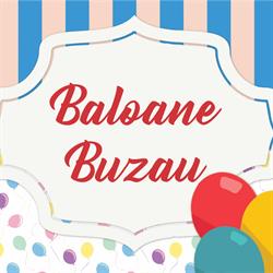 Baloane Buzau - Aranjament din baloane pentru evenimente