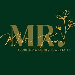 Floraria Mister Flower