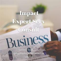Impact Expert Serv Consult