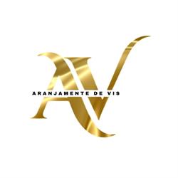 Aranjamente de Vis
