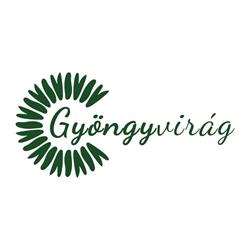 Florăria Gyöngyvirág Virágüzlet