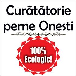 Curatatorie de perne Onesti