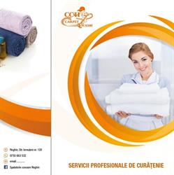 CCH Carpet Wash