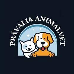 Cabinet Veterinar Prăvălia AnimalVET